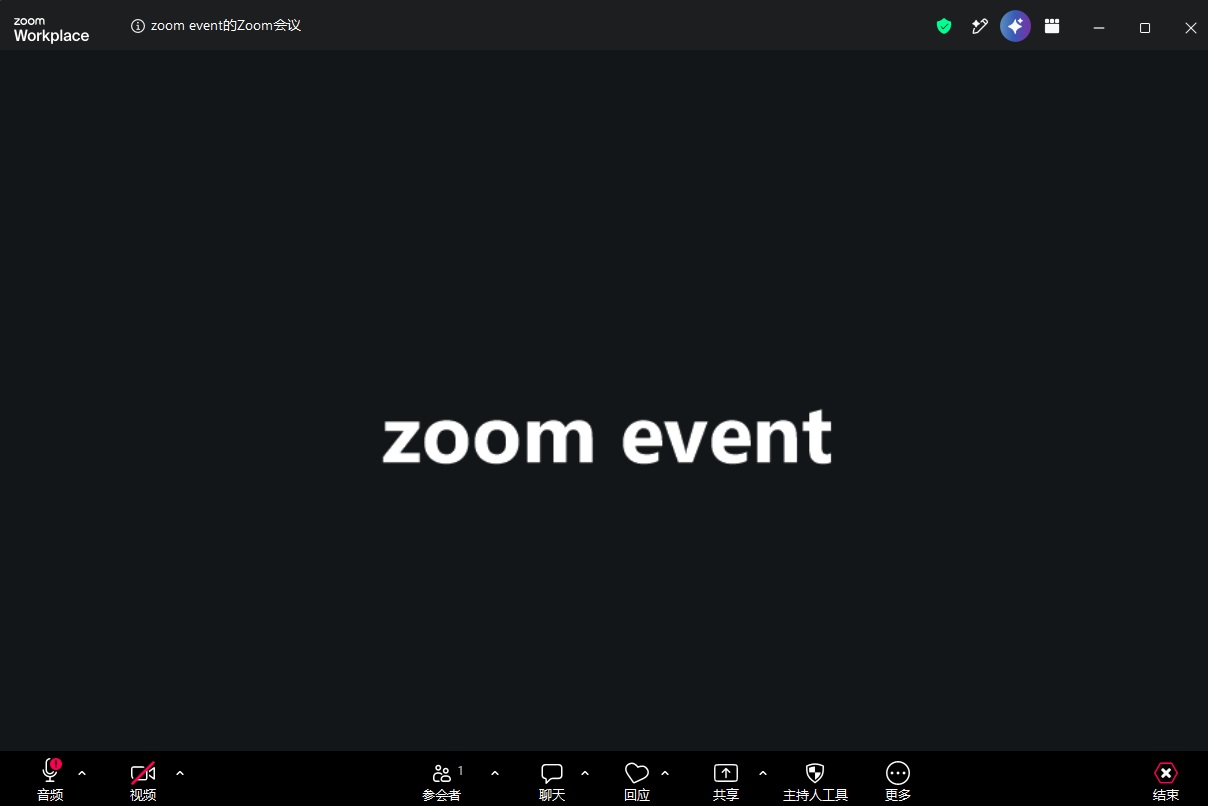 Zoom 实景 3